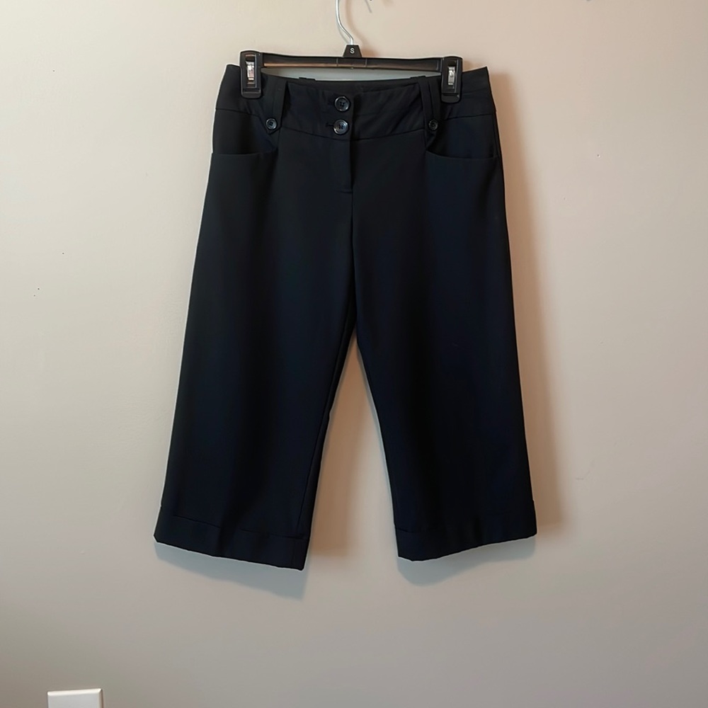 The Limited Capri Dress Pant